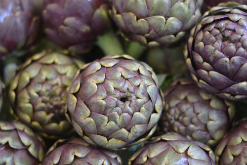 ARTICHOKES  ITA