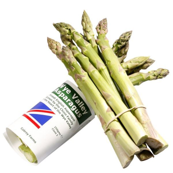 ASPARAGUS ENG GR