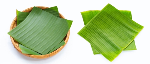 BANANA LEAF  