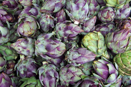 ARTICHOKE BABY 