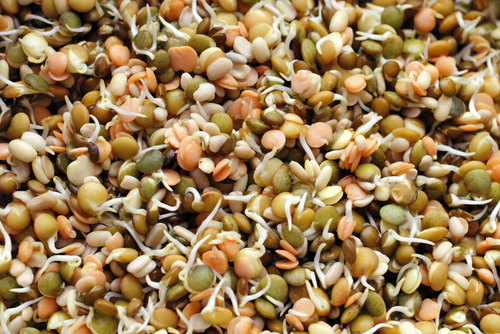 MIXED BEANSPROUT 