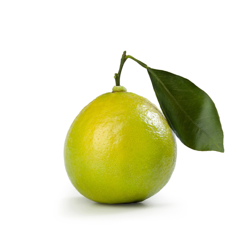 BERGAMOT ITA