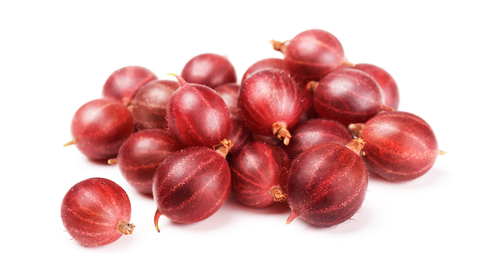 GOOSEBERRY RED 