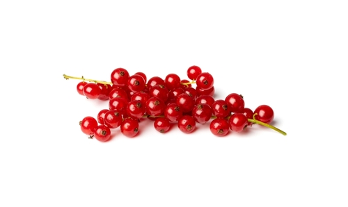 REDCURRANT 