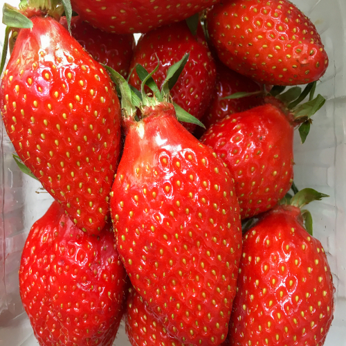 STRAWBERRY GARIGUETTE 