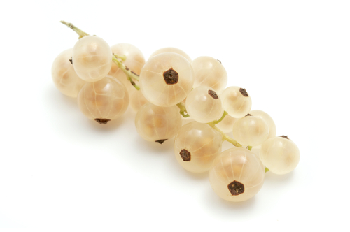 WHITE CURRANT