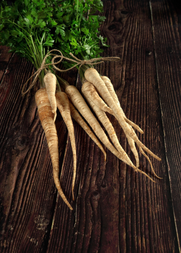 BABY PARSNIP 