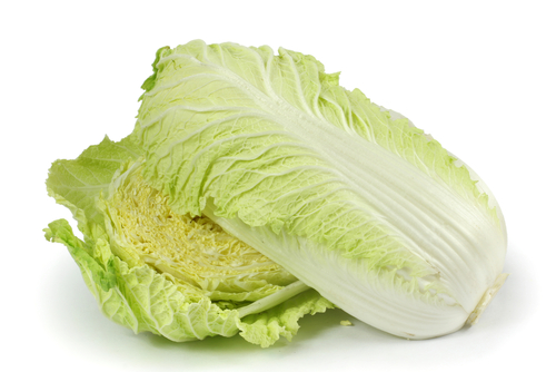 CABBAGE CHINESE 