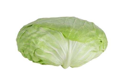 CABBAGE TURKISH