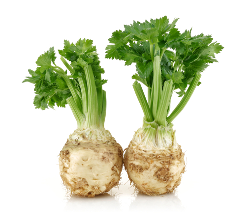 CELERIAC FR *ALLERGEN* 