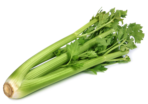 LEAFY CELERY 