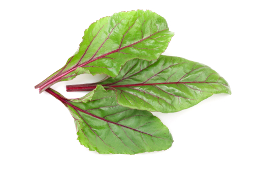 RED CHARD 