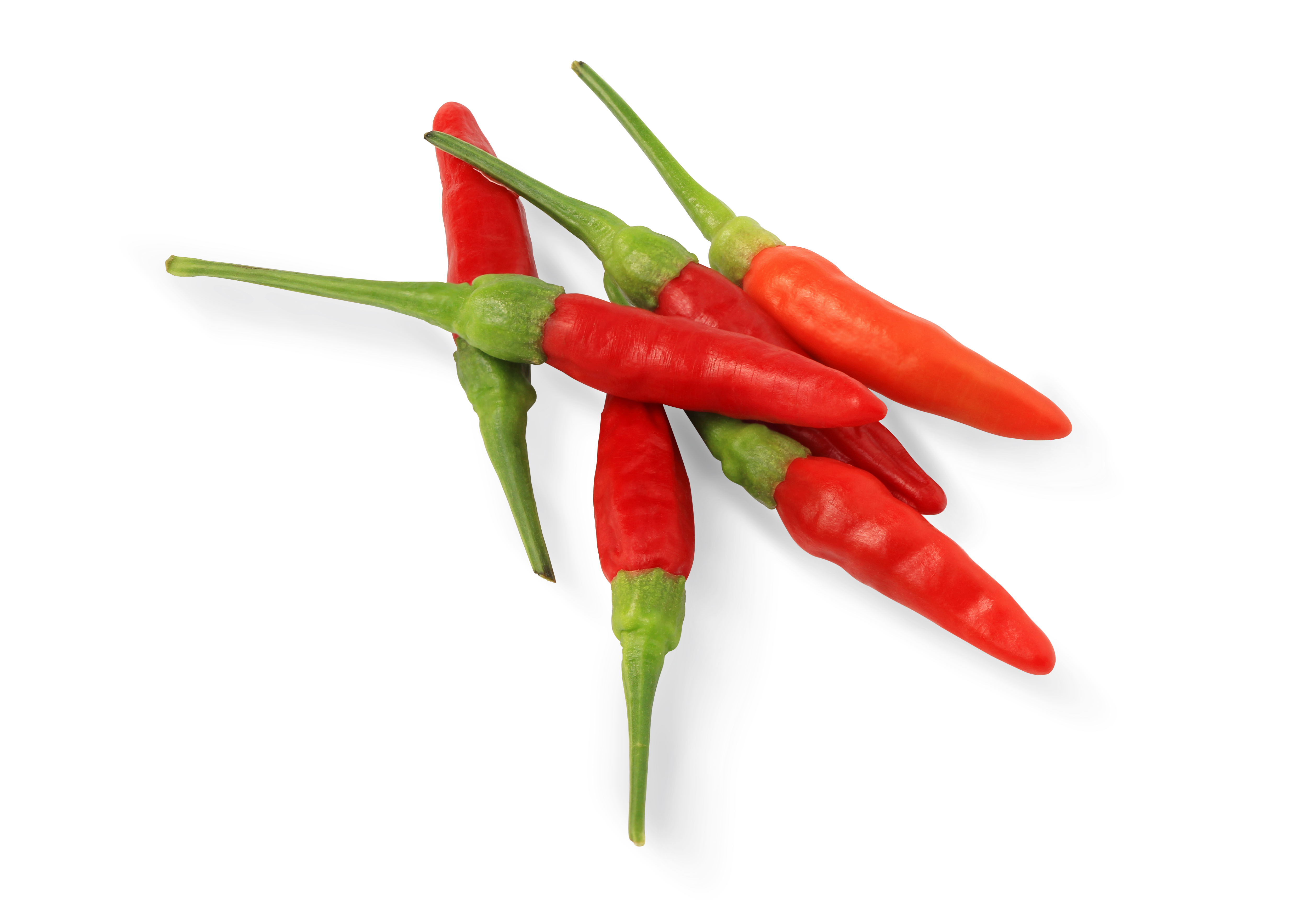 CHILLIES BIRDS EYE RED 