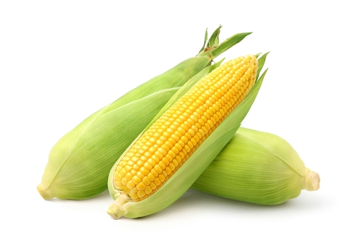 CORN SWEET  HUSK 