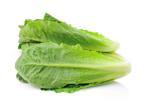 LETTUCE COS 