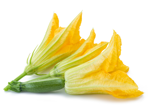 COURGETTE FLOWERS 