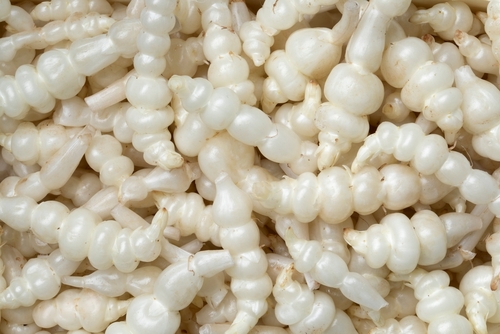 CROSNES