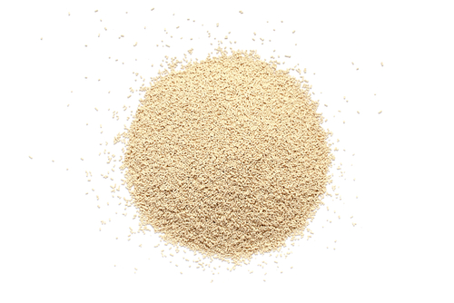 DRIED YEAST