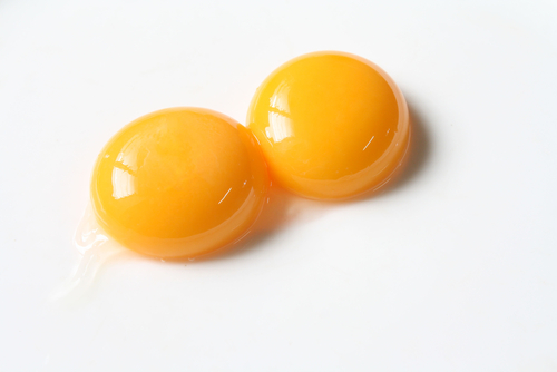 EGG YOLK (ALRGN)