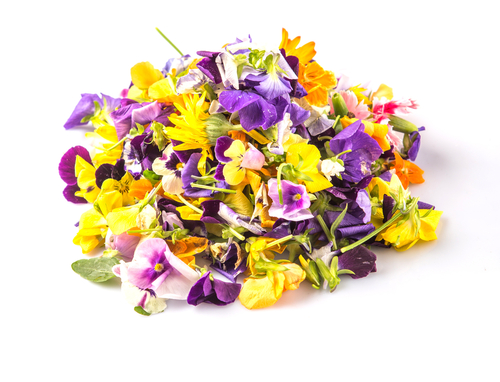 FLOWERS EDIBLE MIX  