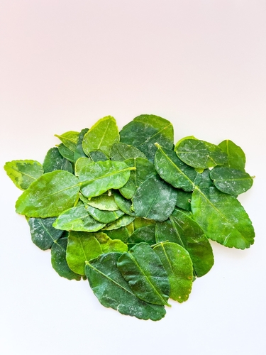 FROZEN LIME LEAVES 