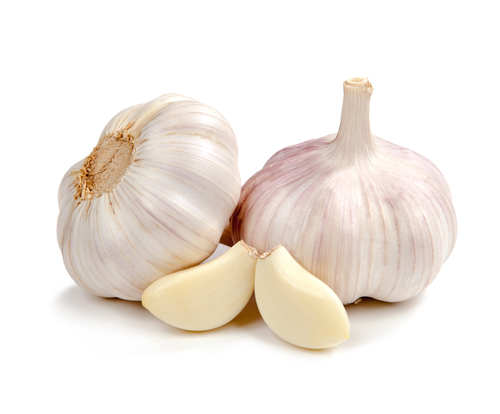 GARLIC 