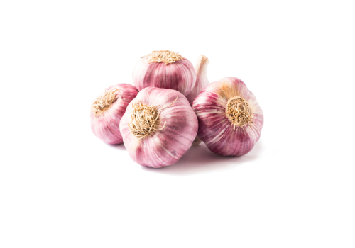 GARLIC PINK 