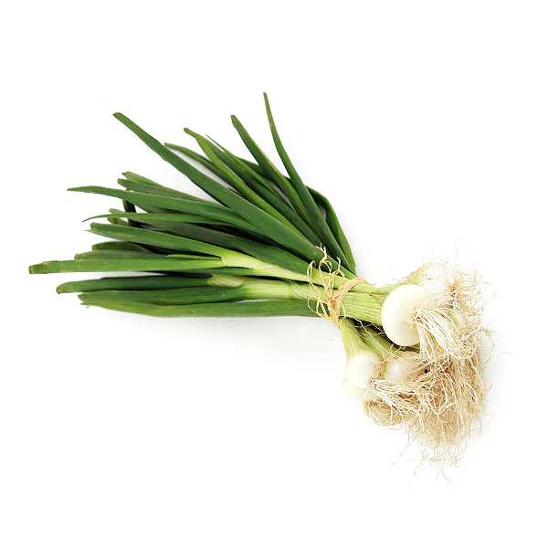 GRELOT ONION WHITE 