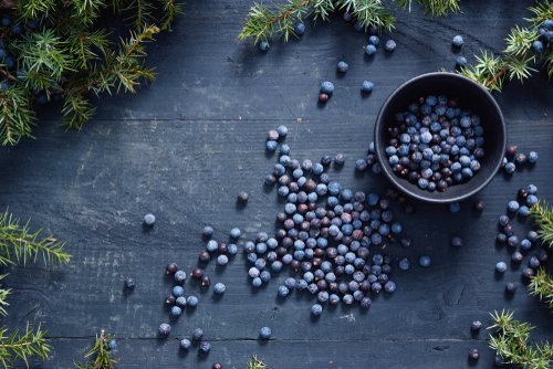 JUNIPER BERRIES