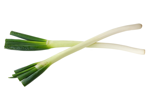 LEEKS THIN 