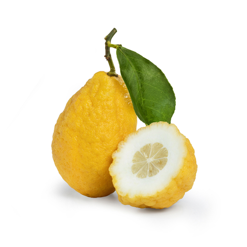 LEMON CEDRA ITA