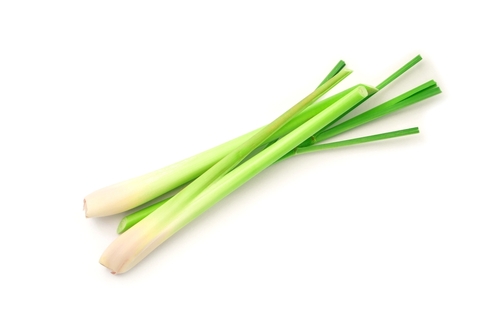 LEMONGRASS Bunch