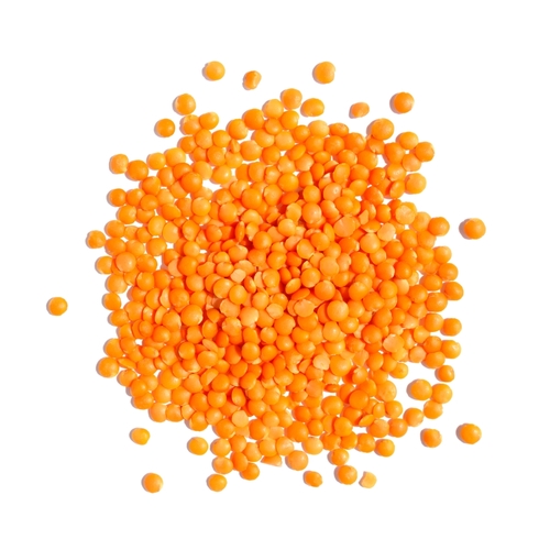 RED LENTIL