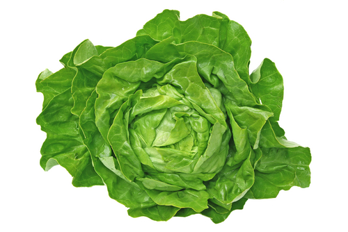 LETTUCE ROUND 