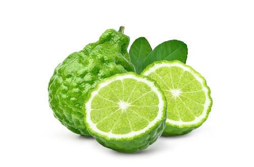 KAFFIR LIME 