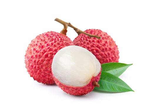 LYCHEE 