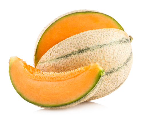 MELON CHARANTAIS 