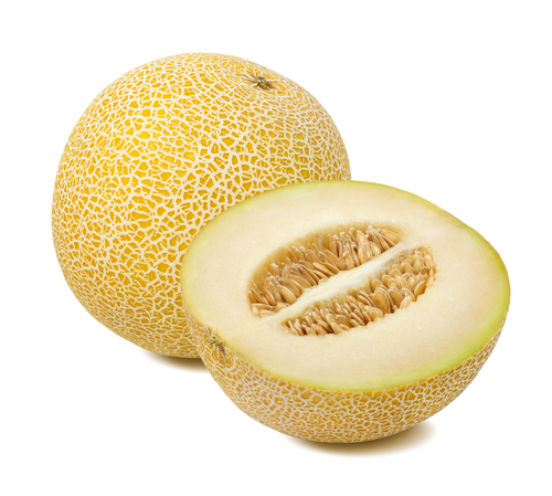 MELON GALIA 