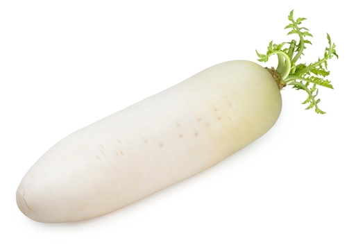 MOULI(DAIKON) 