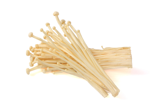 MUSHROOM ENOKI GLD