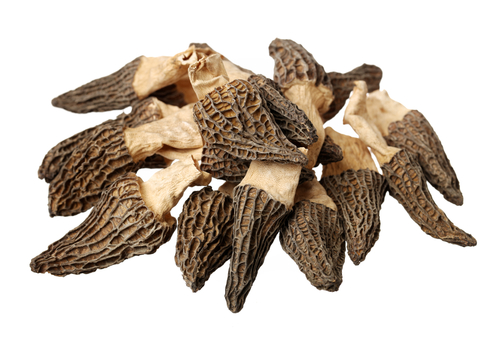 MUSHROOM MOREL DRIED 