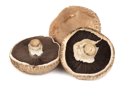 MUSHROOM PORTOBELLO  