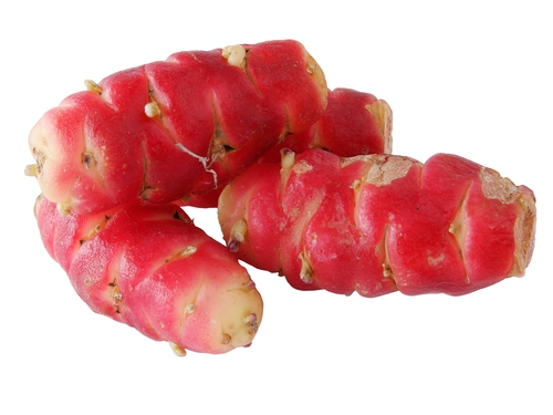 OCA DE PERU  