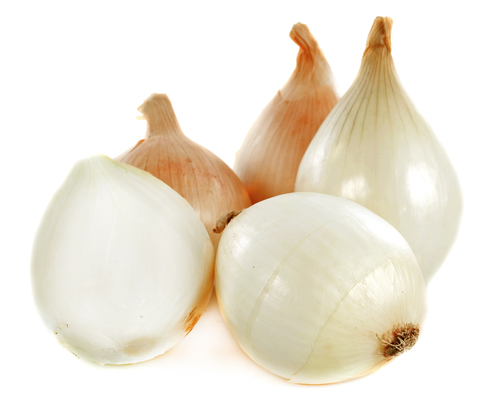 CEVENNES ONIONS 