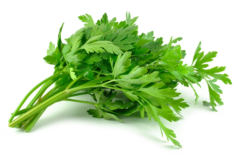 PARSLEY FLAT