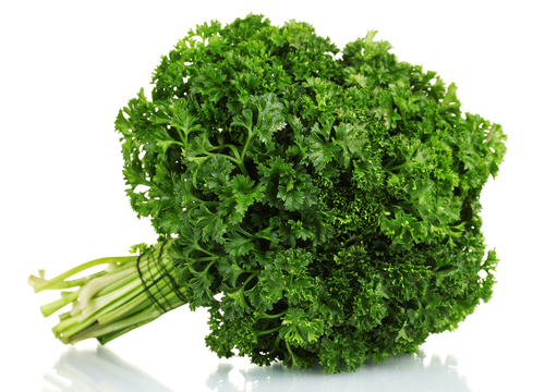 PARSLEY CURLY 