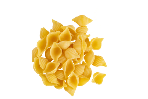 PASTA SHELL