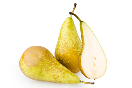 PEAR CONFERENCE