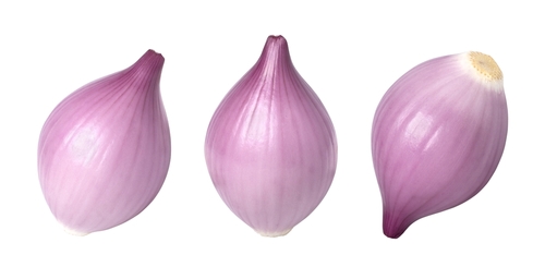 SHALLOT PEELED