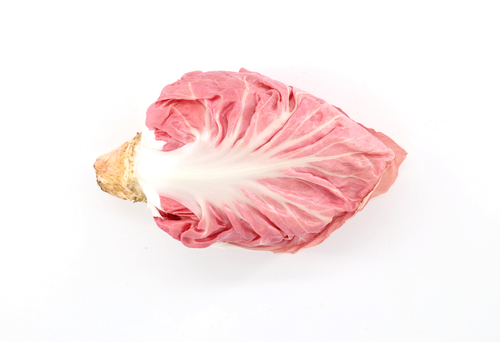 RADICCHIO PINK 